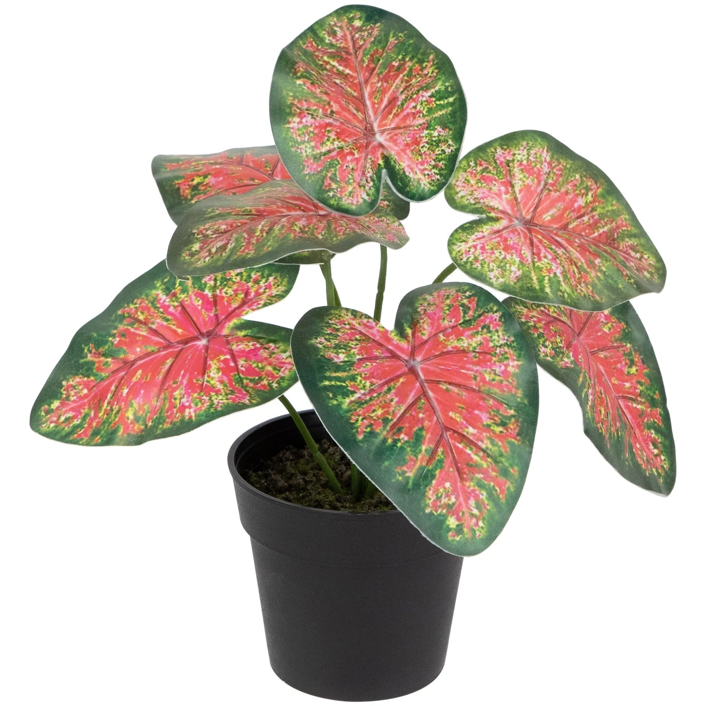 8" Rohdea Spring Floral Artificial Potted Plant