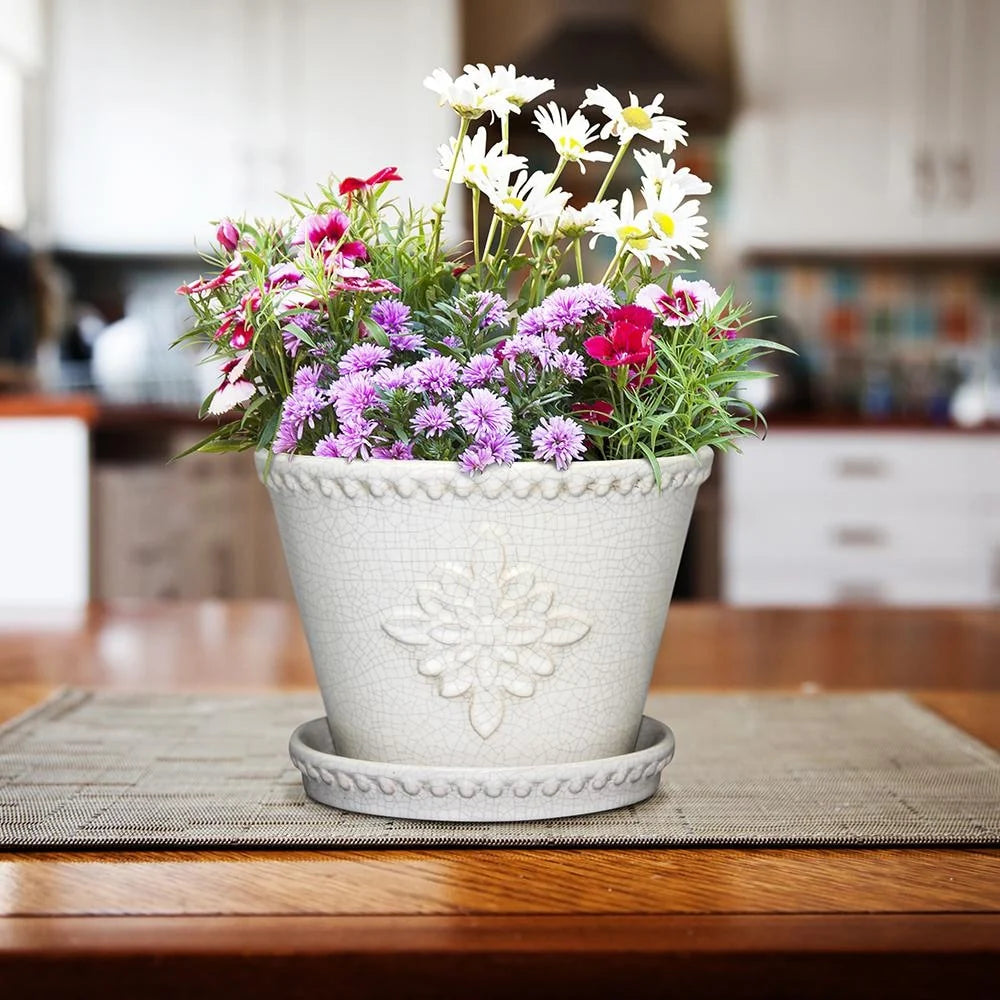 Southern Patio Lorna Planter