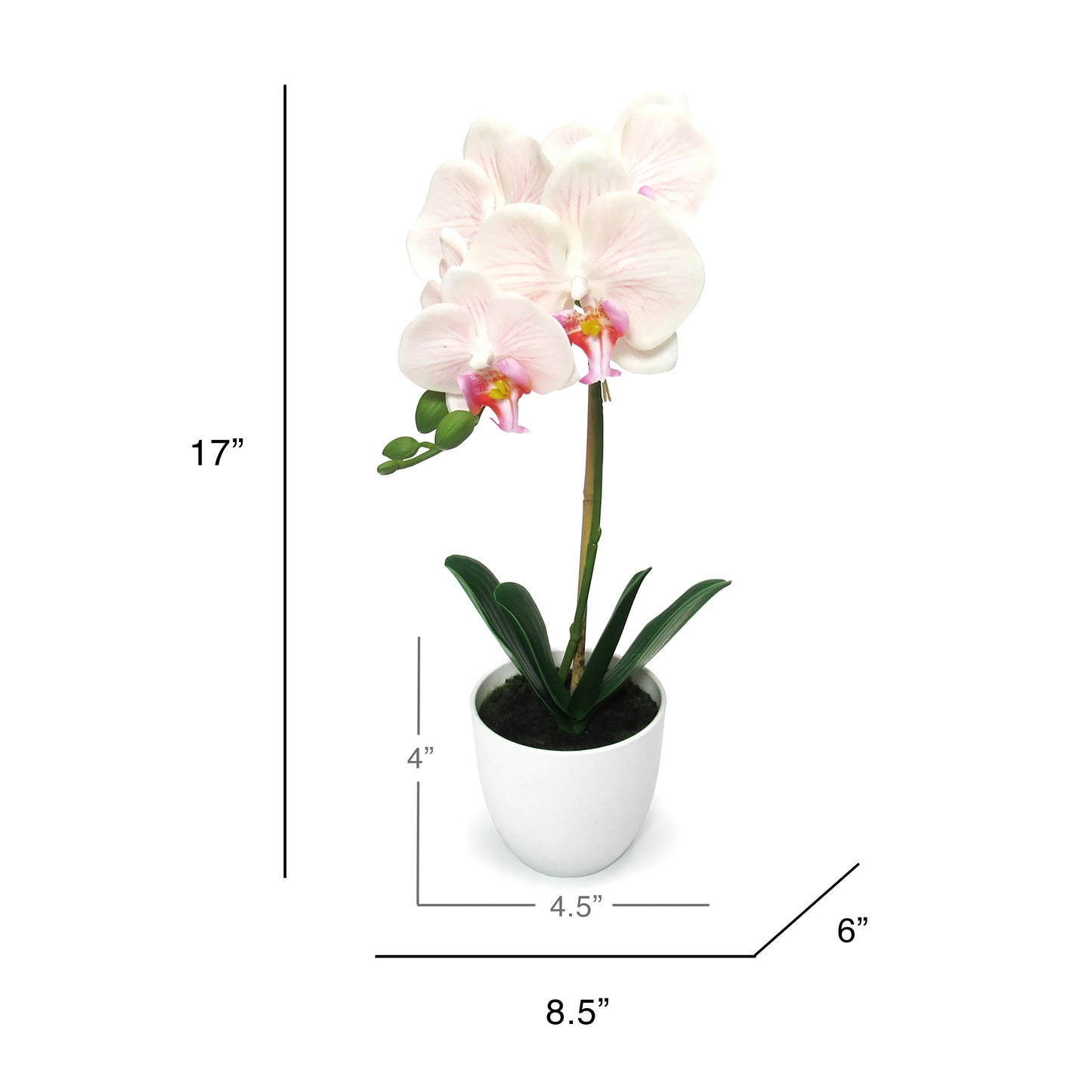 Artificial Phalaenopsis Orchid Flower Arrangement in White Pot 17in