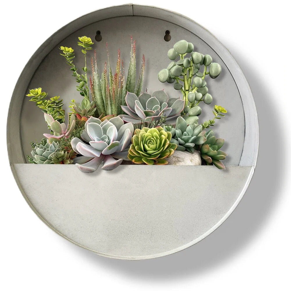 Modern Home Round Living Wall Mounted Galvanized Steel/Zinc Succulent/Herb Planter - Indoor/Outdoor Living Art Potting Vessel