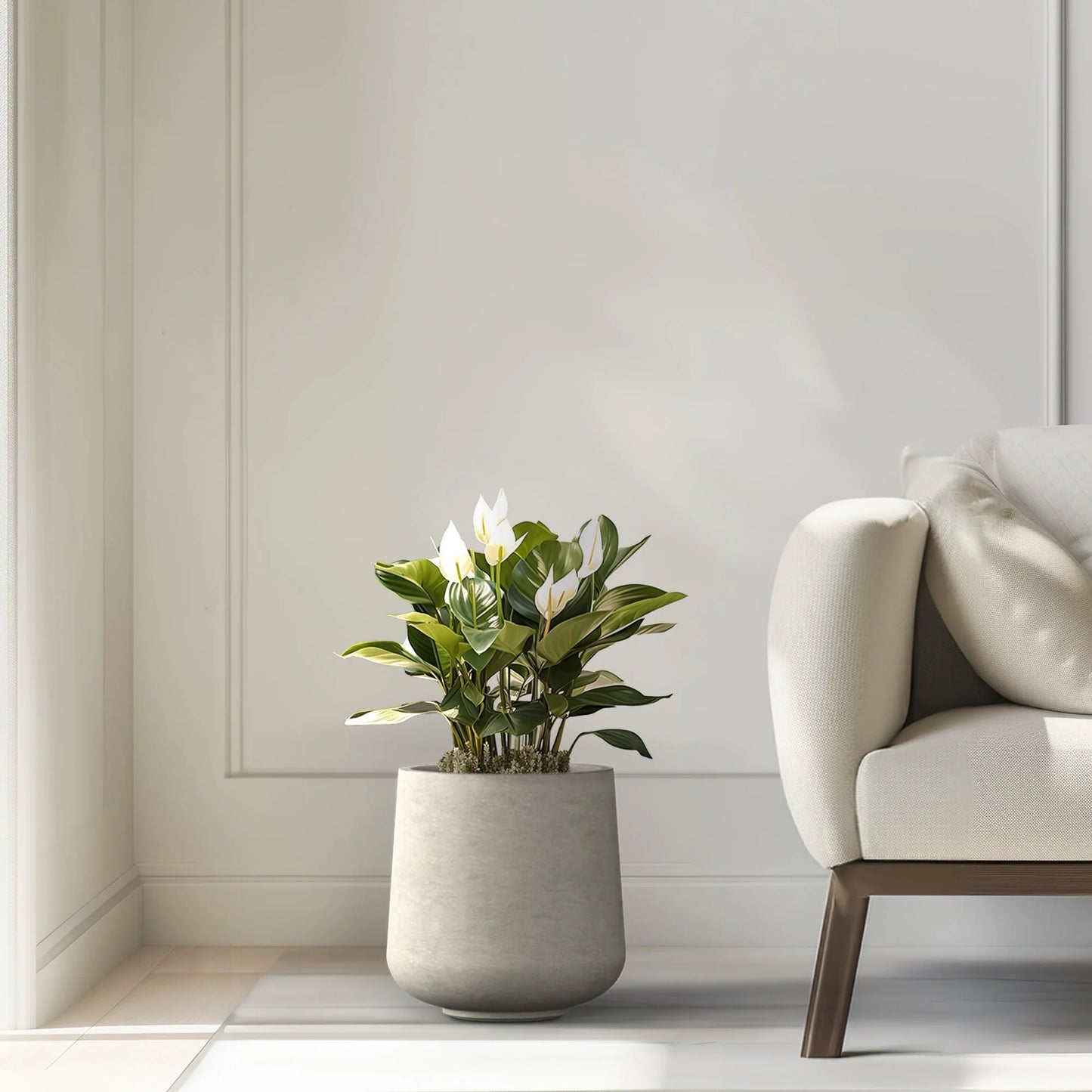 Tall Concrete Round Plant Pots / Large Indoor and Outdoor flower Planters