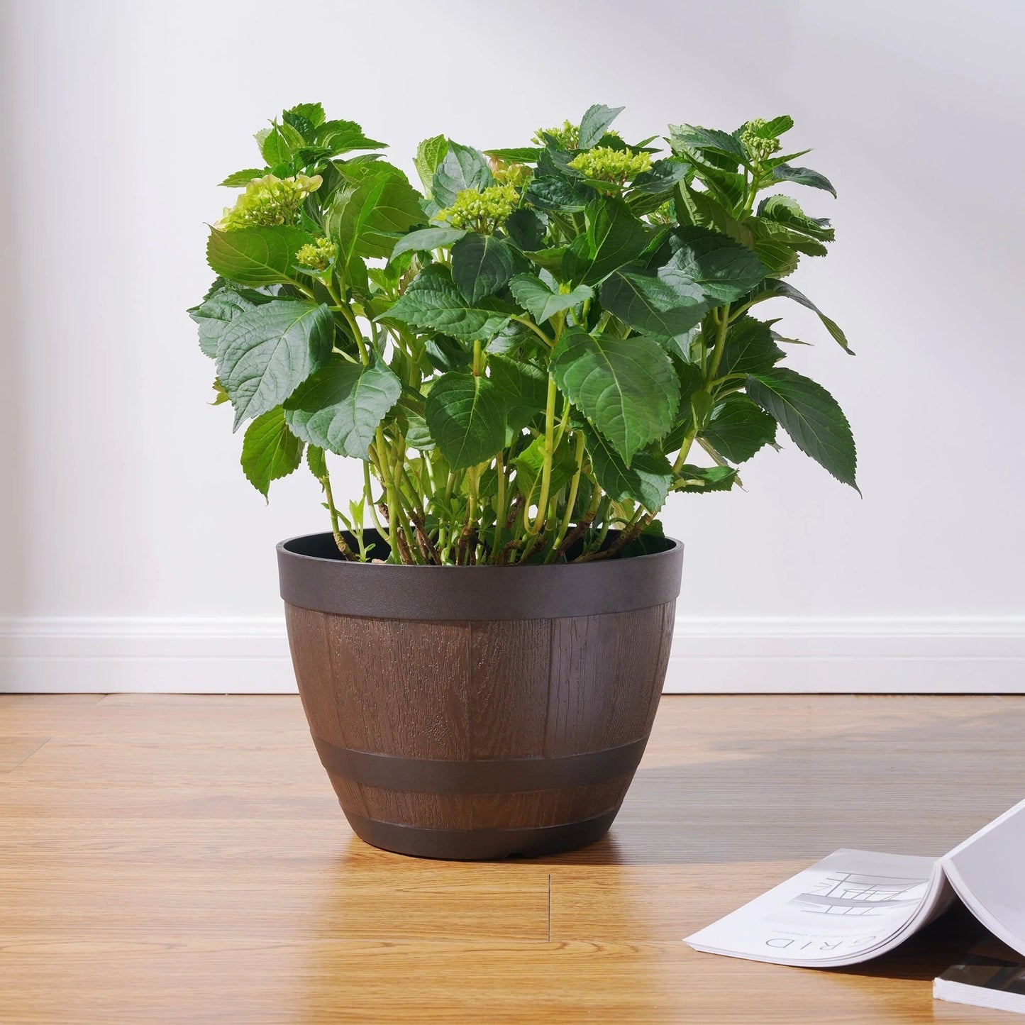 Planter (Set of 4)