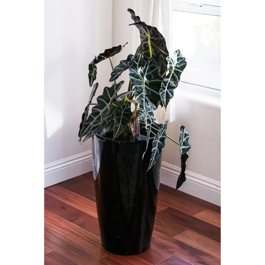 XBrand 21" H Plastic Self Watering Indoor Outdoor Tall Round Planter Pot w/Glossy Finish, Decorative Gardening Pot