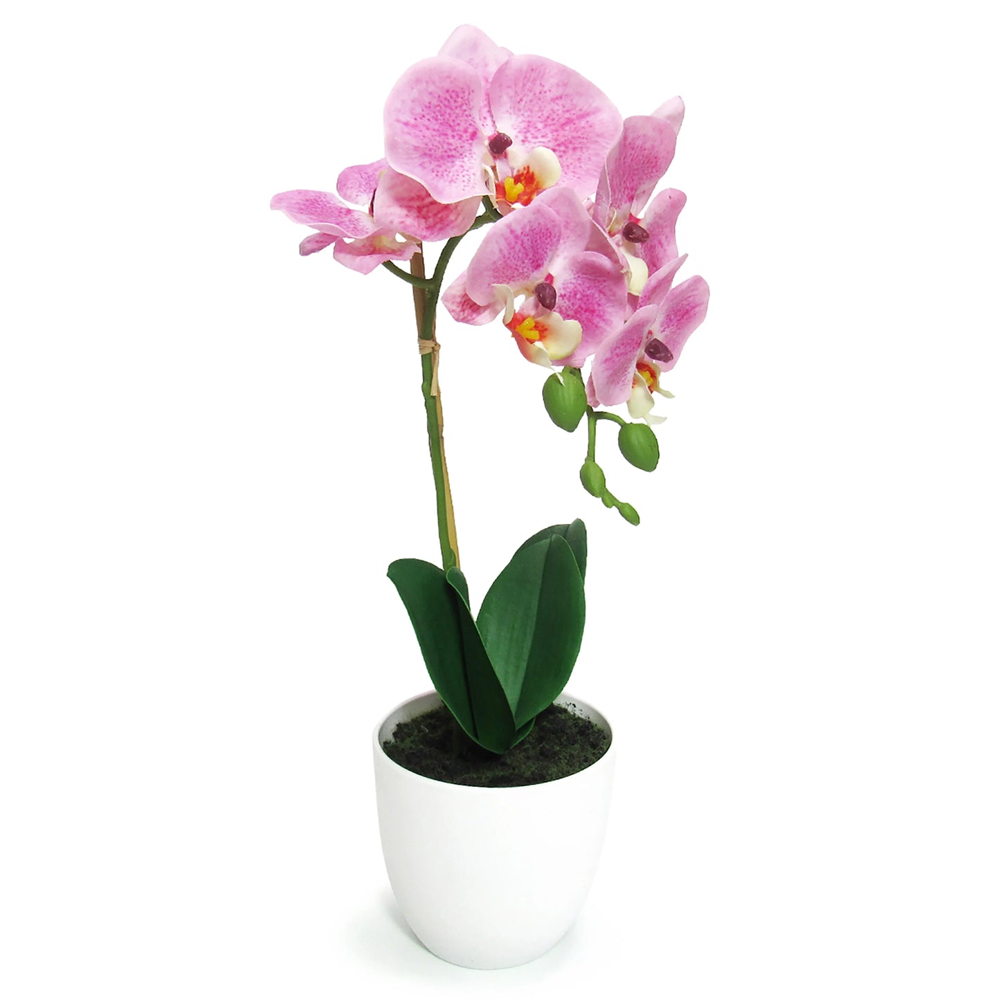 Artificial Phalaenopsis Orchid Flower Arrangement in White Pot 17in