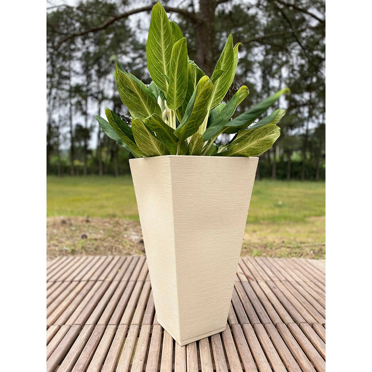 Floridis Zurique Planter