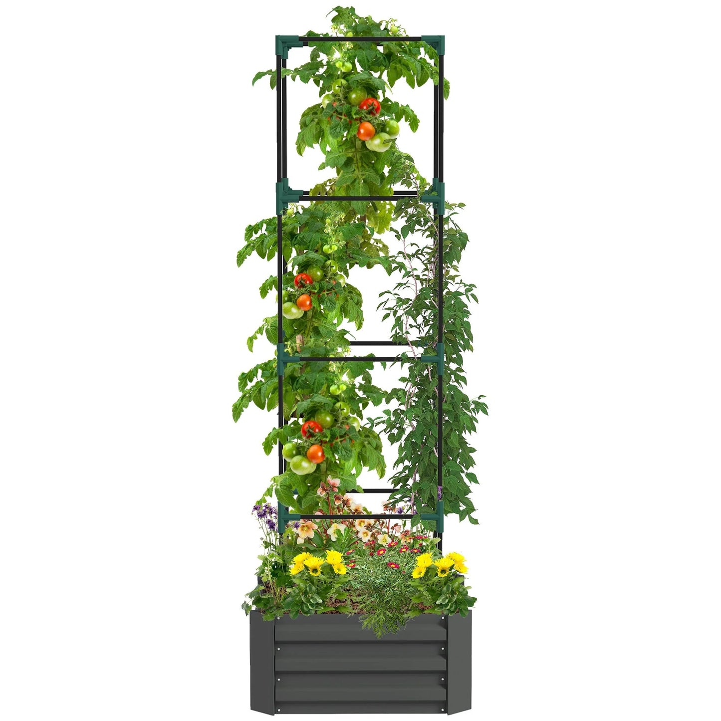 Outsunny Galvanized Raised Garden Bed, 24" x 24" x 11.75" Outdoor Planter Box with Trellis Tomato Cage and Open Bottom
