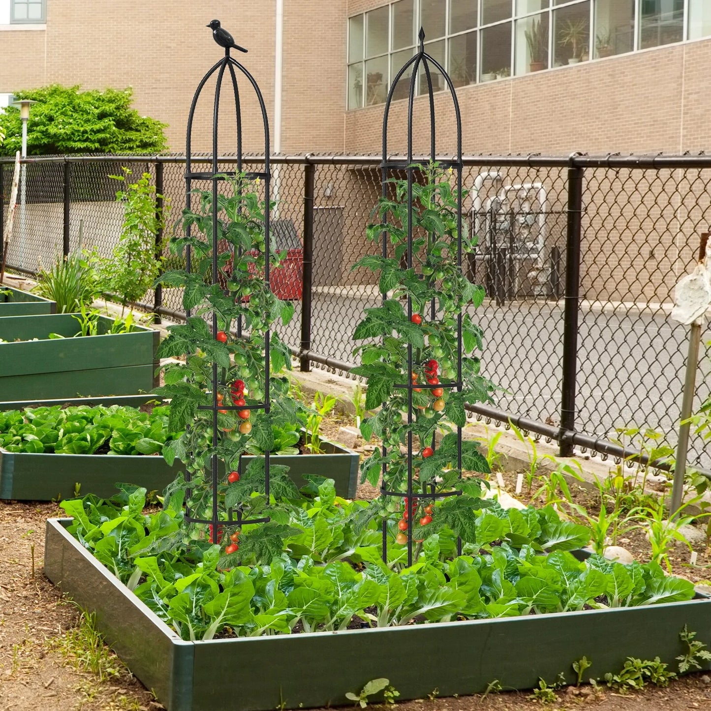 Gymax 2-Pack Garden Obelisk Trellis for Climbing Plants Rustproof