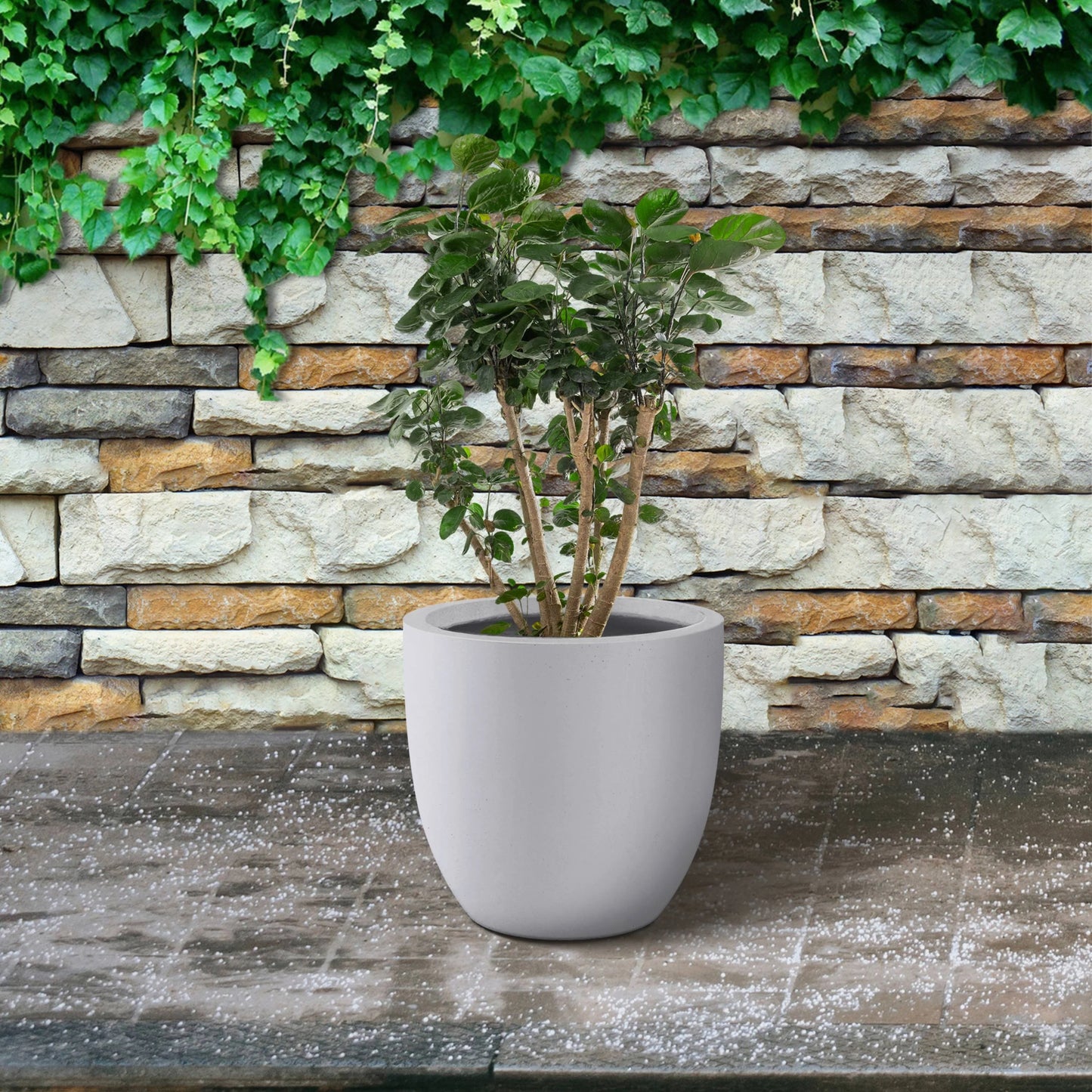 Kante Round Lightweight Concrete and Fiberglass Indoor Outdoor Weather Resistant Planter with Drainage Hole