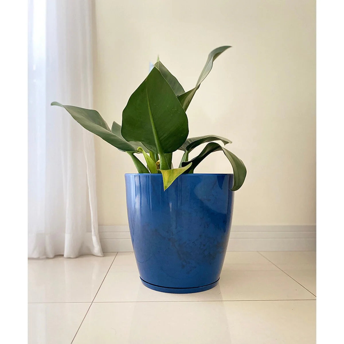 Floridis Amsterdan Large Planter Bowl