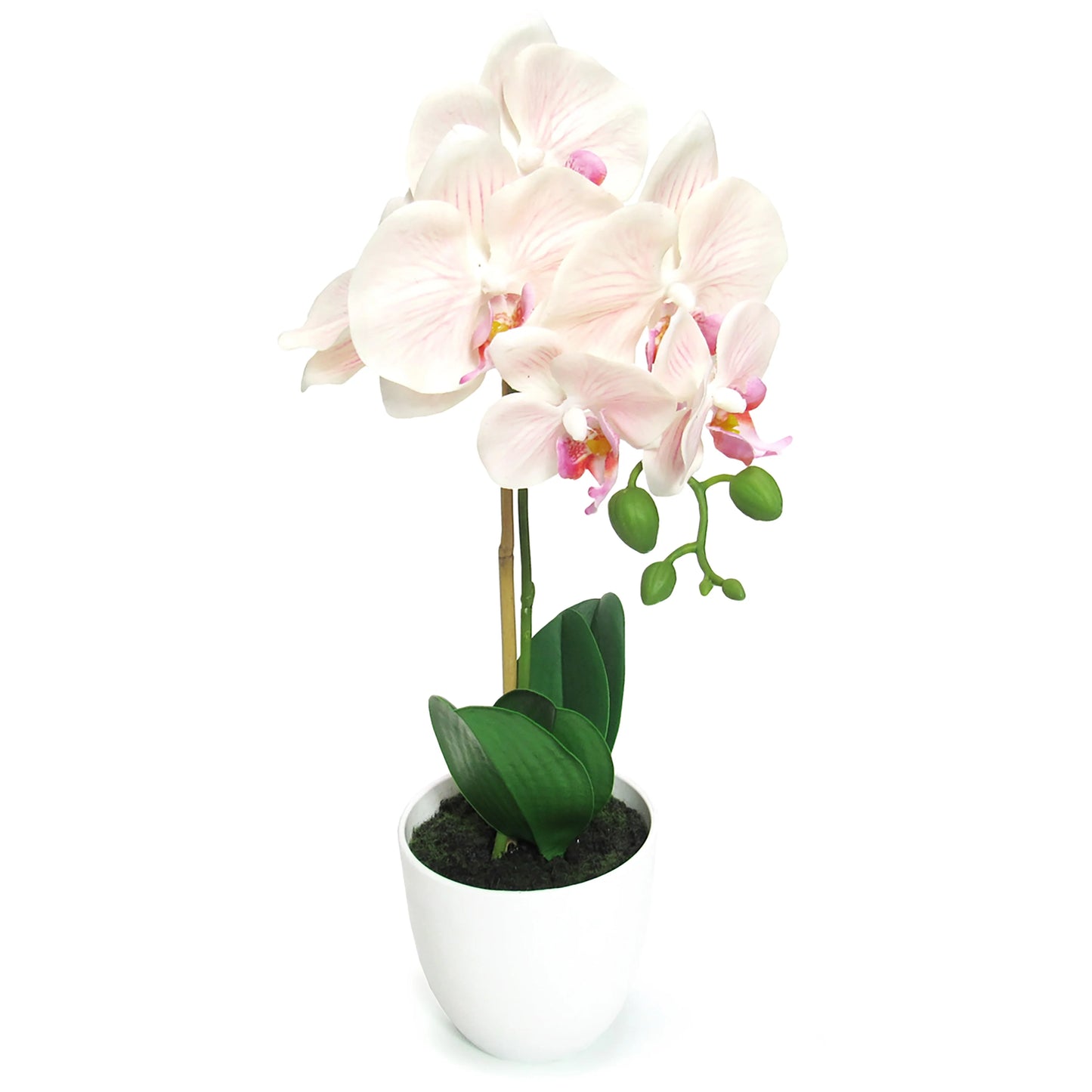 Artificial Phalaenopsis Orchid Flower Arrangement in White Pot 17in