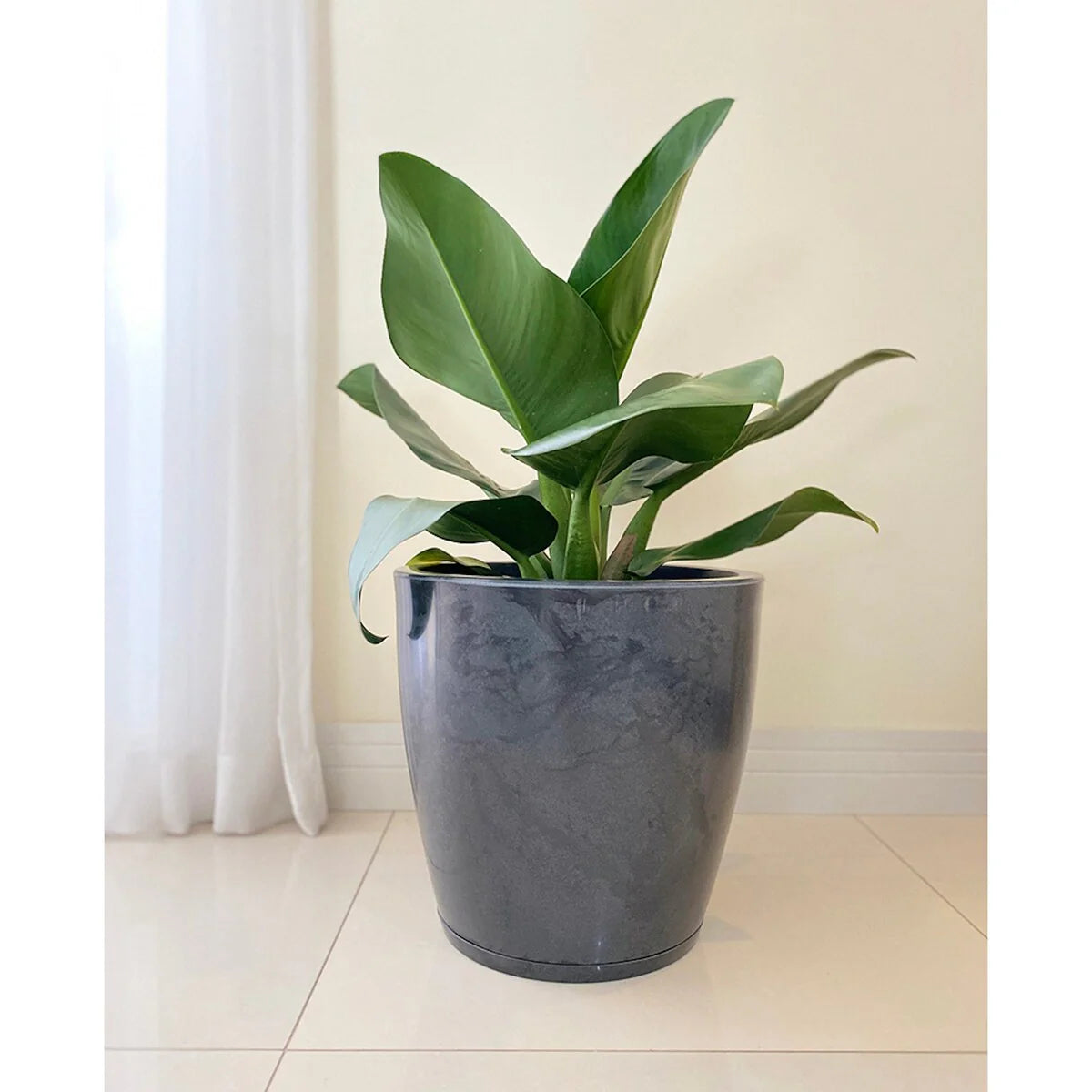 Floridis Amsterdan Large Planter Bowl