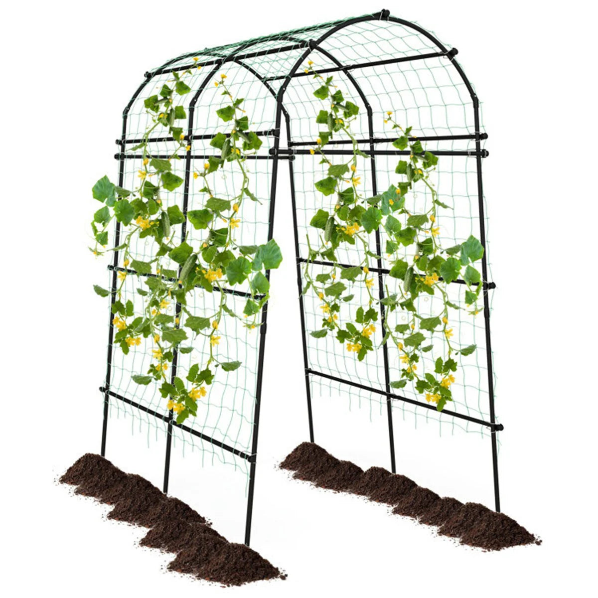 Garden Arch Trellis with PE Coated Metal Structure