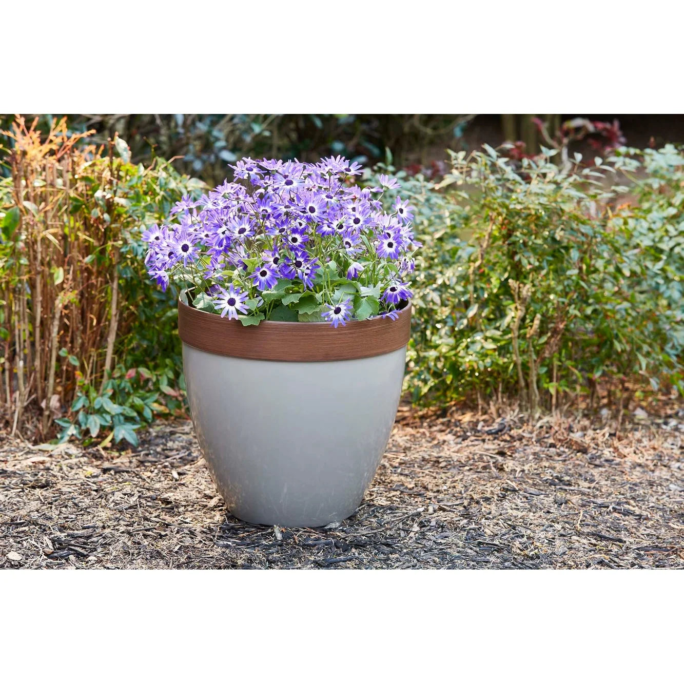 Southern Patio Hornsby Resin Planter