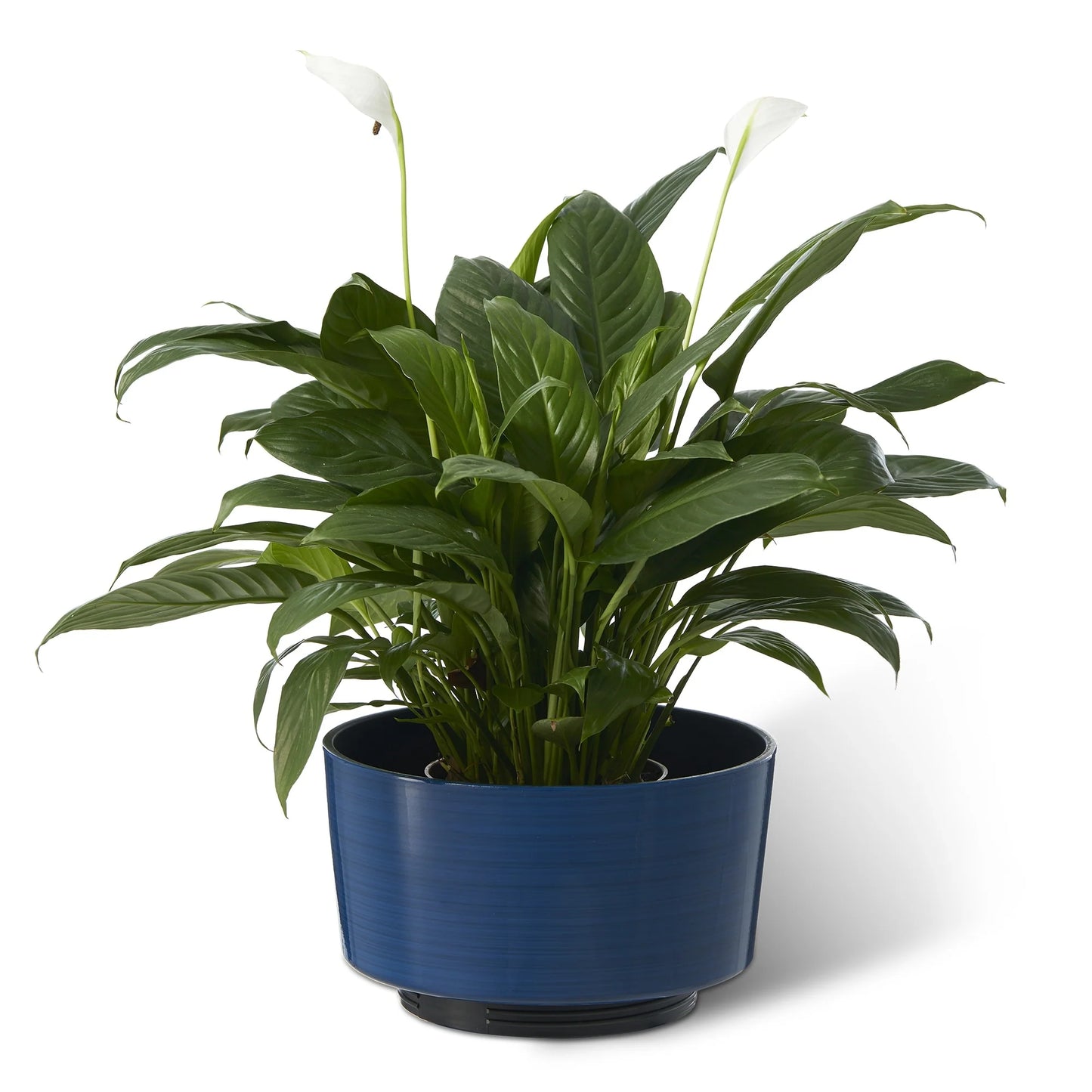 Glitzhome 16.75"H Set of 2 Cobalt Blue Faux Ceramic Urn Plastic Planter with Screw in Base