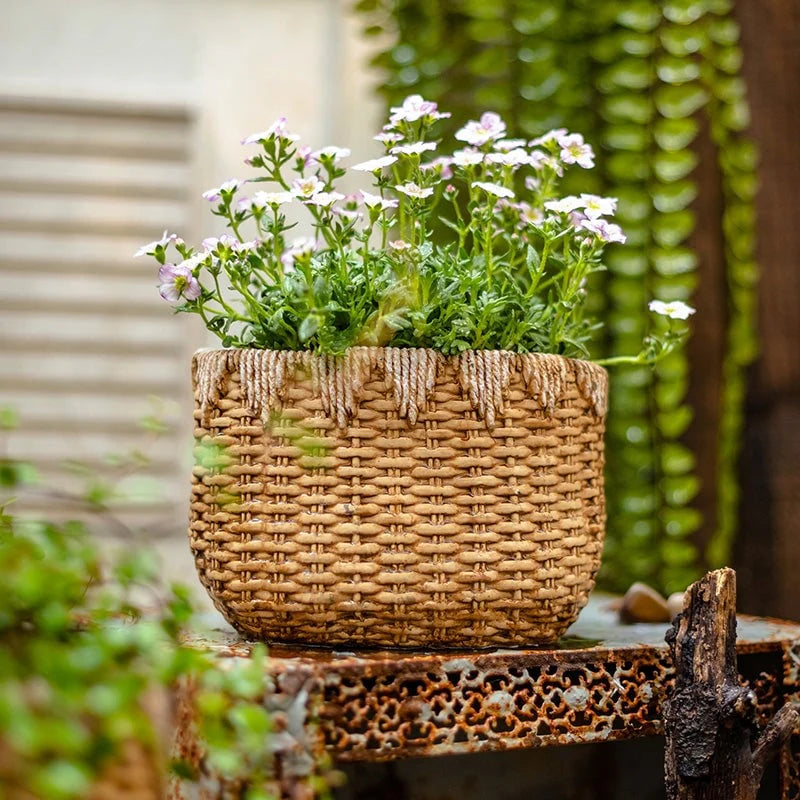 RusticReach Lady Straw Basket Cement Planter