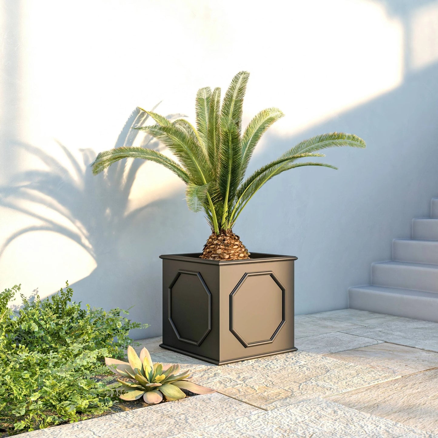 Sprout Modern Fiberstone and MgO Clay Square Planter Pot with Drainage for Home Garden Yard Patio Porch Office Decor