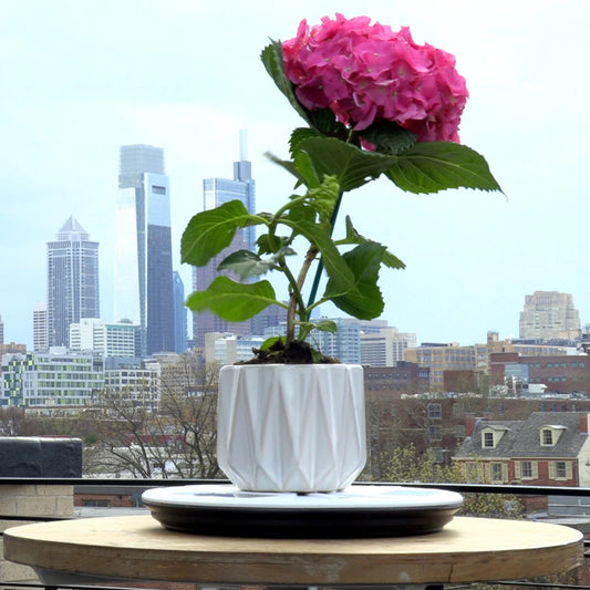 Gama Sonic Flower Decorative Planter Solar Uplight for Pot Base Stand