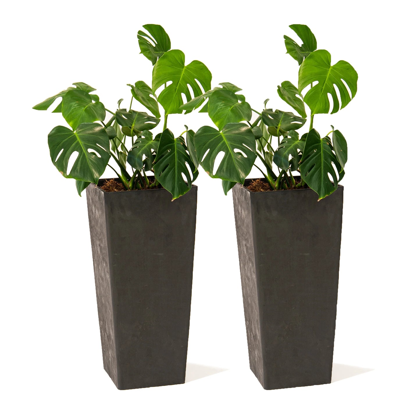 XBrand Modern 28-Inch Tall Square Modern Tapered Indoor & Outdoor Planter