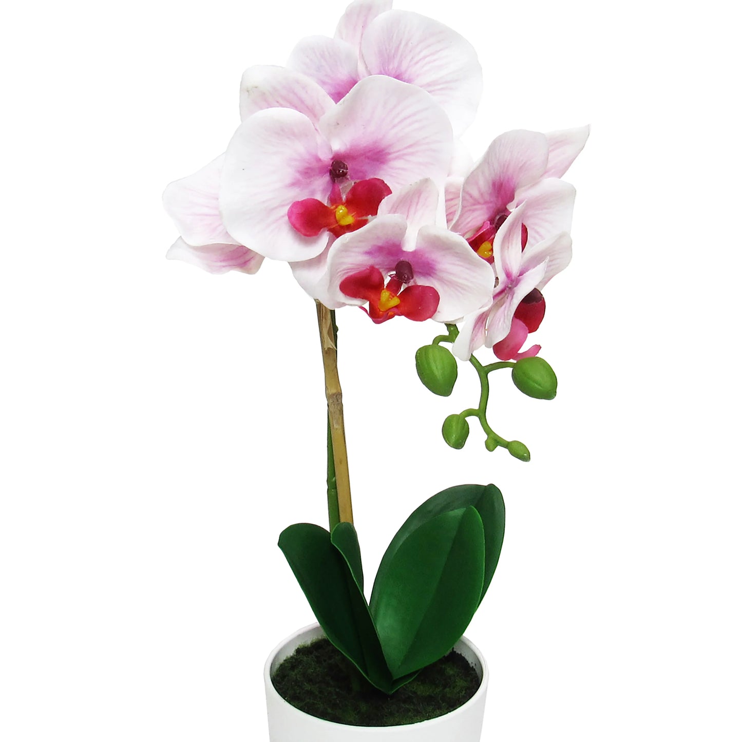 Artificial Phalaenopsis Orchid Flower Arrangement in White Pot 17in
