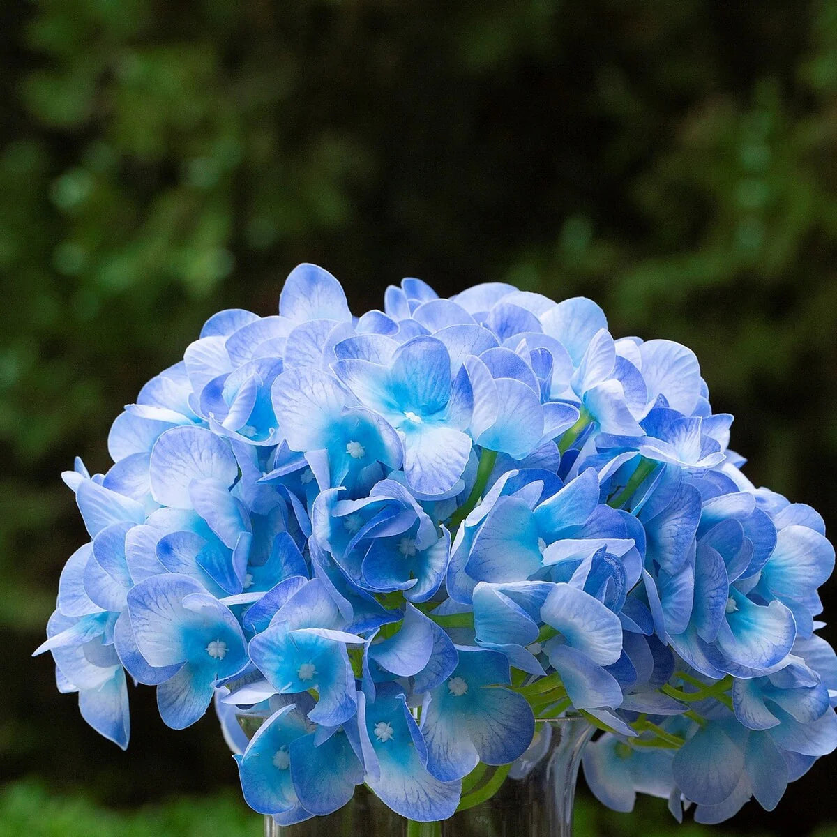 Real Touch Hydrangea Flower in Clear Glass Vase with Acrylic Water for Home Office Wedding Decoration