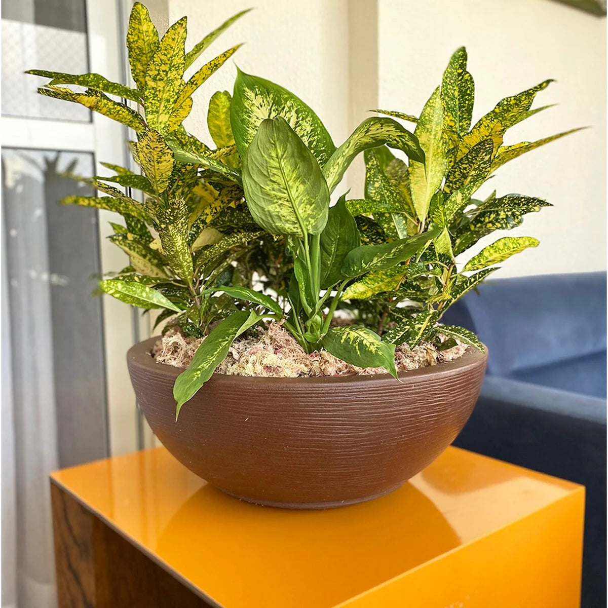 Floridis Amsterdan Large Planter Bowl