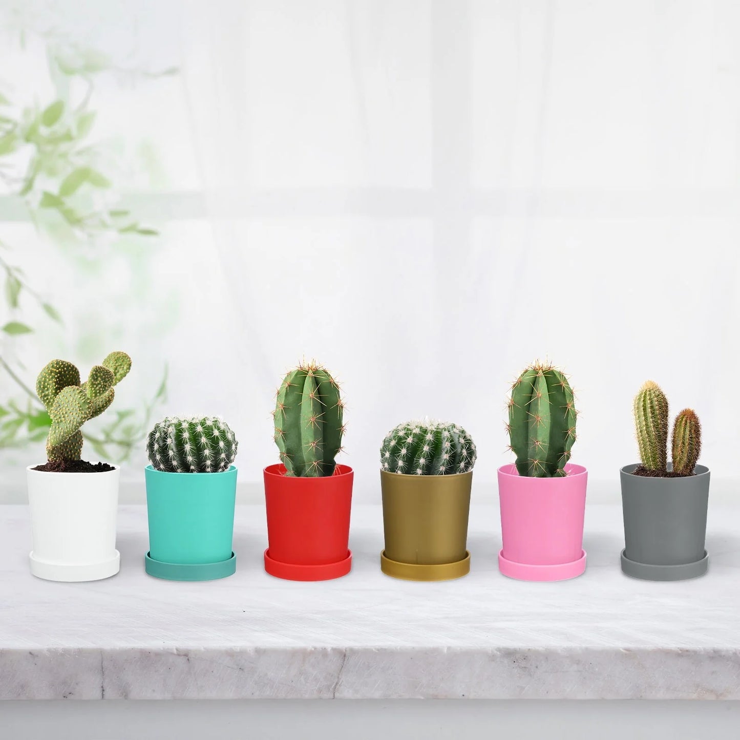 4-Pack Plant Pots, Plastic Pots with Drainage Holes