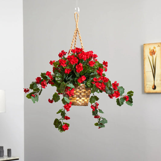 Geranium Hanging Basket - Red