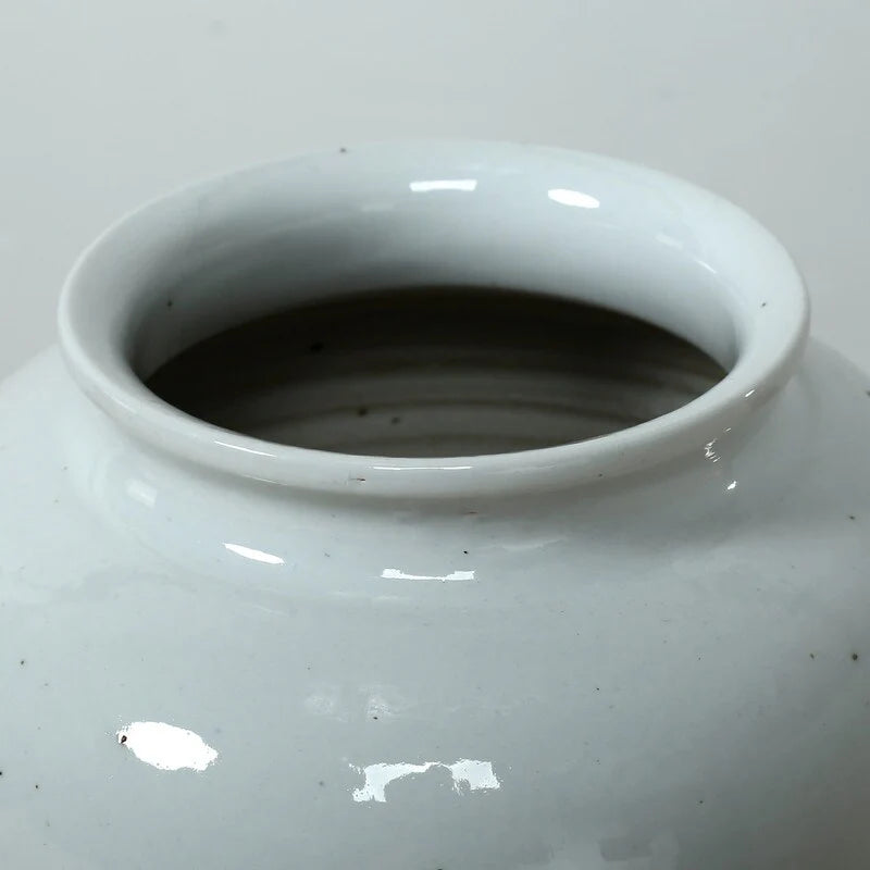 9" Wide Clara Round Vase with Unglazed Base