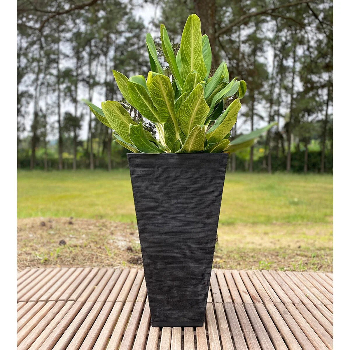 Floridis Zurique Planter
