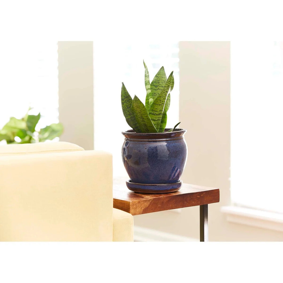 Southern Patio Ceramic Wisteria Planter (Single or Set of 2)