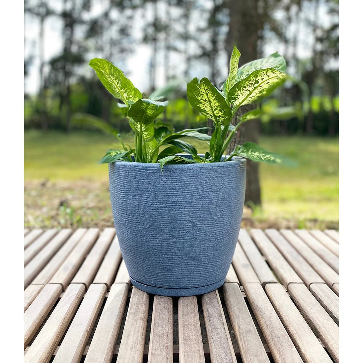 Floridis Amsterdan Extra Small Planter Bowl - 11.02 inches high x 12.6 inch diameter