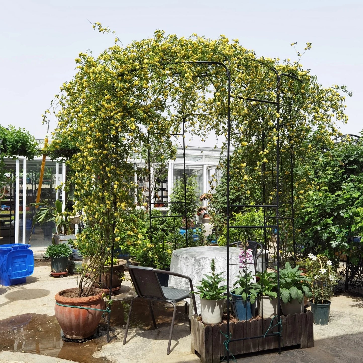 Metal Garden Arch Iron Arbor Trellis Birdcage Shape Pergola for Outdoor Ceremony, Wedding Pavilion
