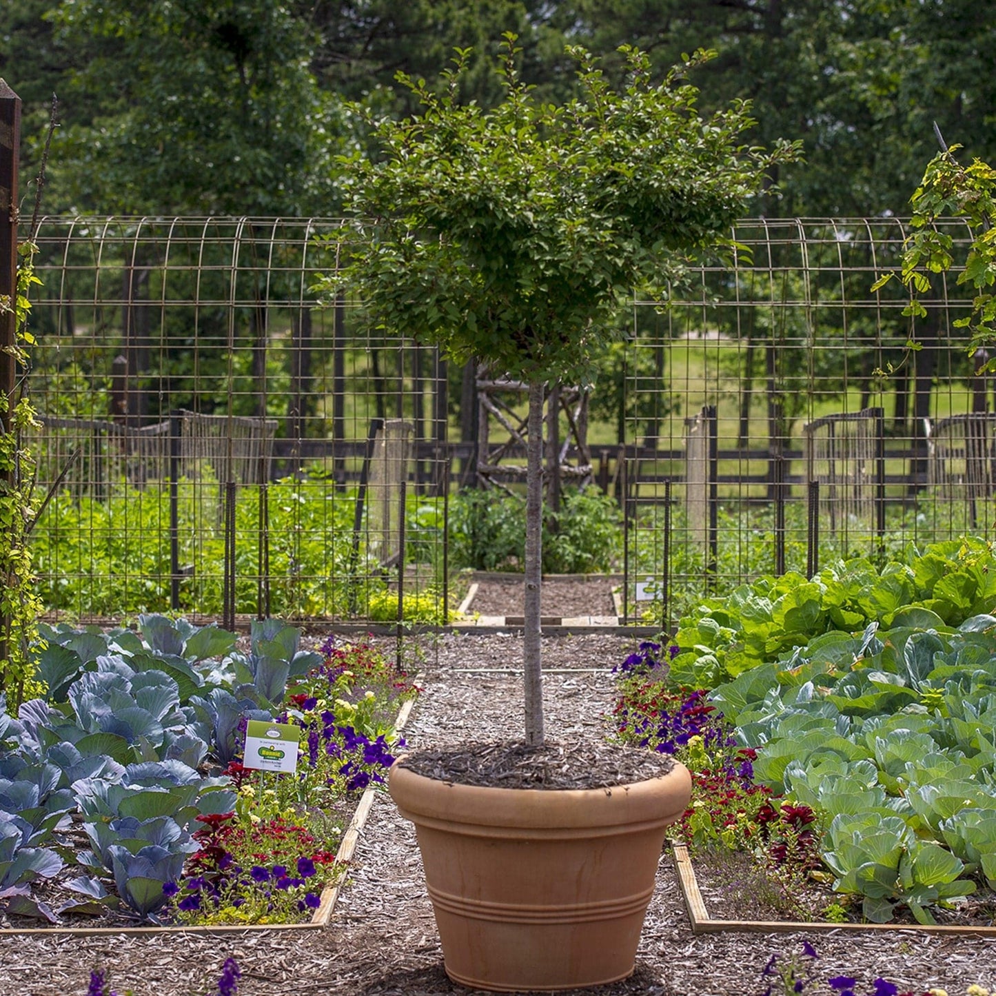 Brunello Classic Round Planter