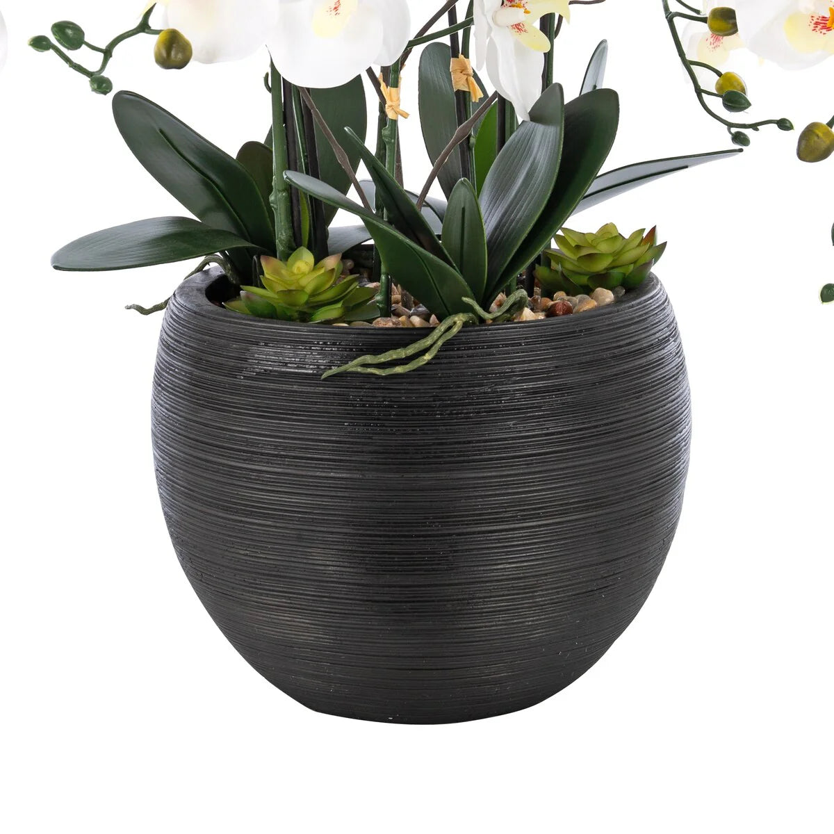 9 Stems Nearly Natural White Phalaenopsis Orchids with Succulents in White Magnesium Oxide Pot - 36.22" H x 35.43" W x 35.43" D