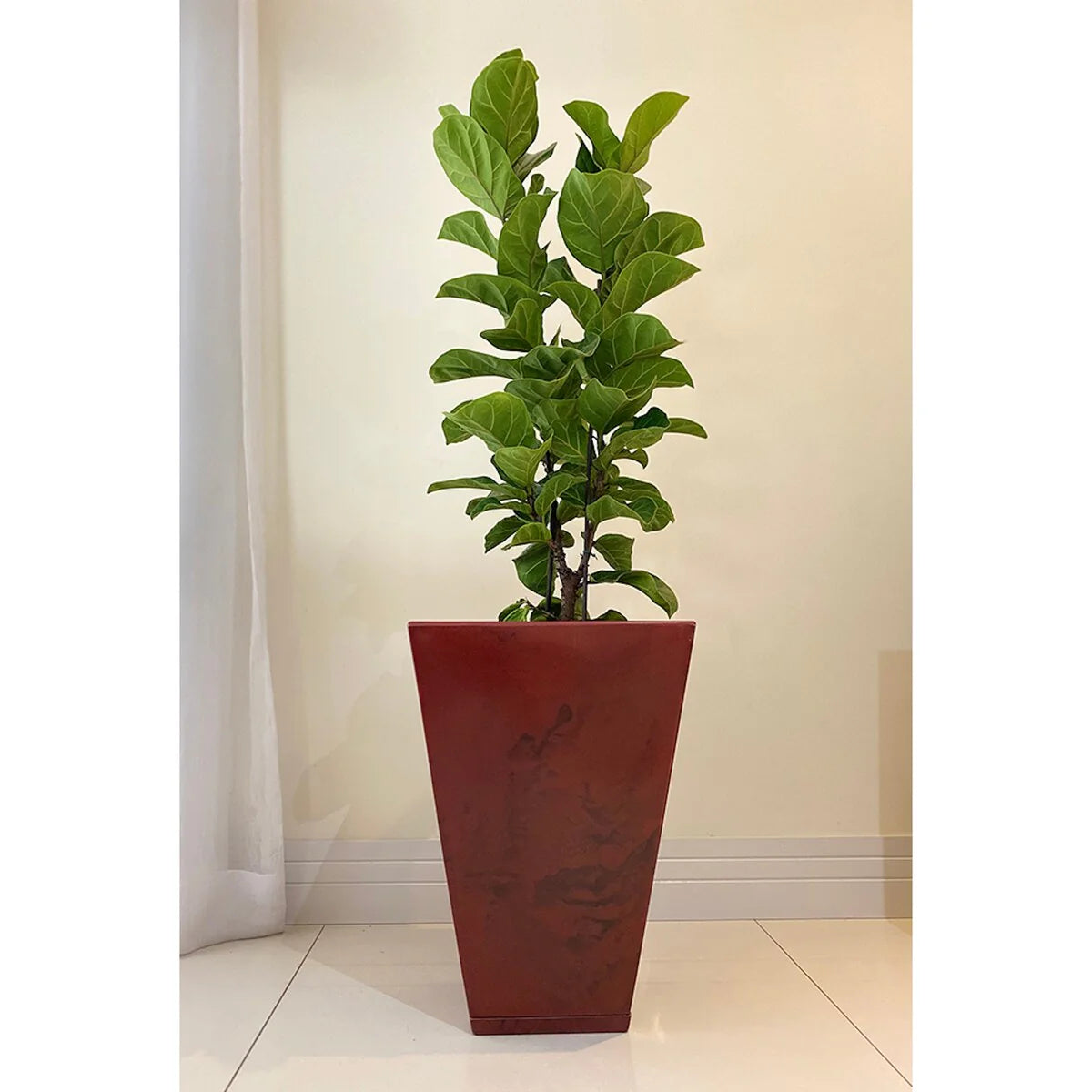 Floridis Zurique Planter