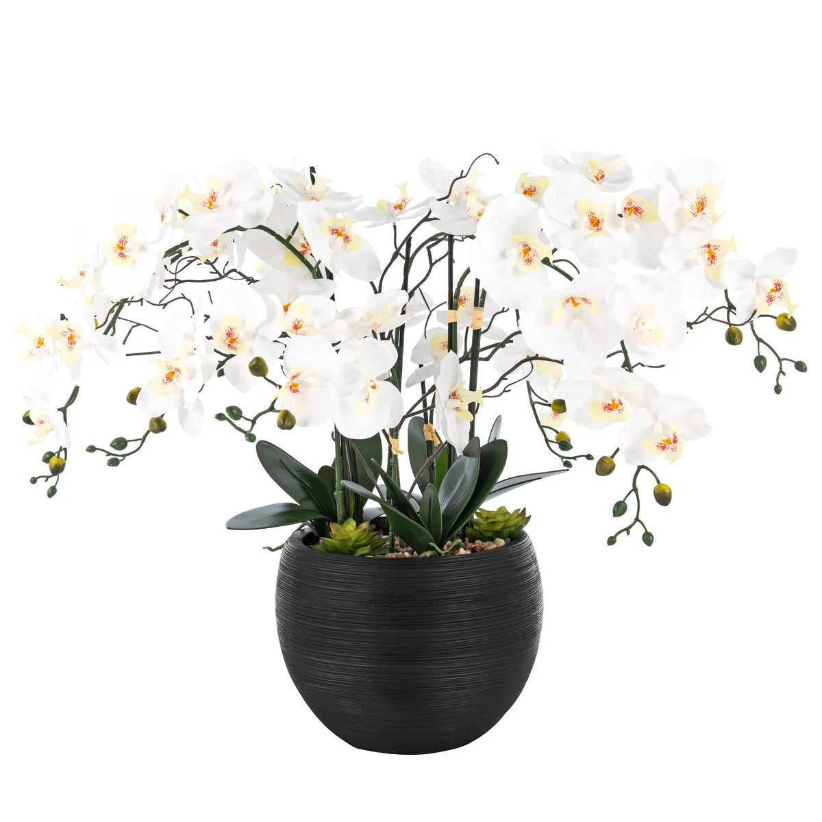 9 Stems Nearly Natural White Phalaenopsis Orchids with Succulents in White Magnesium Oxide Pot - 36.22" H x 35.43" W x 35.43" D