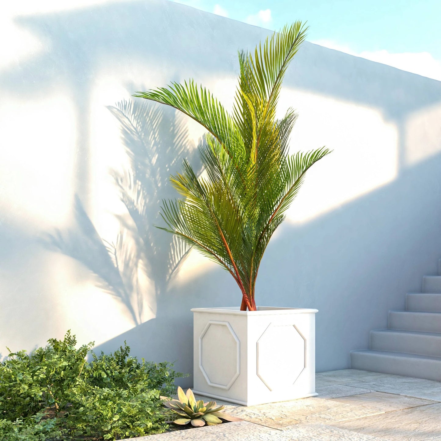 Sprout Modern Fiberstone and MgO Clay Square Planter Pot with Drainage for Home Garden Yard Patio Porch Office Decor