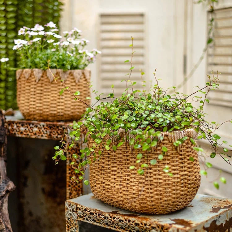 RusticReach Lady Straw Basket Cement Planter