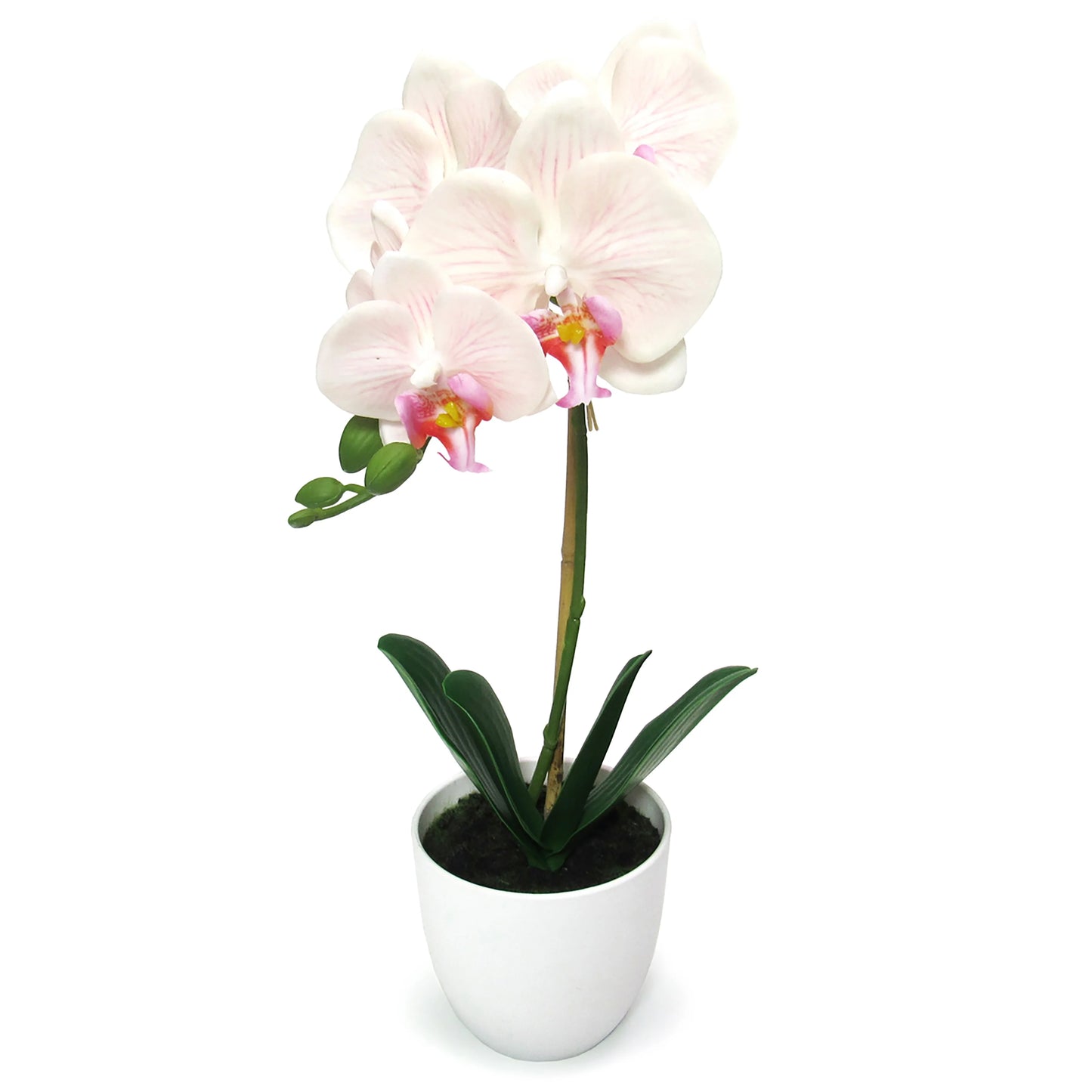 Artificial Phalaenopsis Orchid Flower Arrangement in White Pot 17in