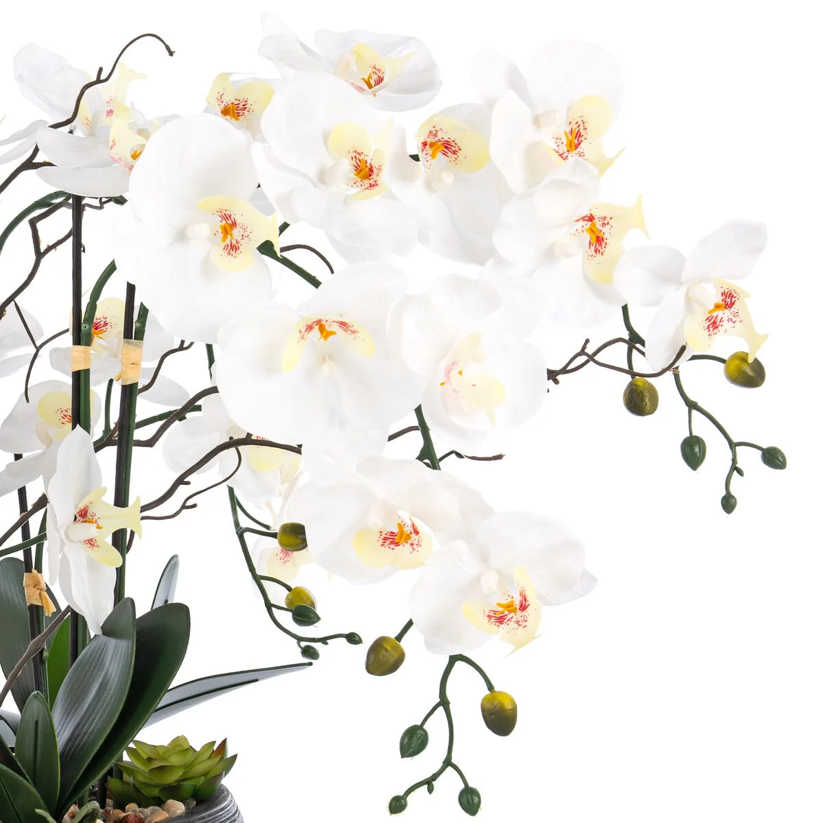 9 Stems Nearly Natural White Phalaenopsis Orchids with Succulents in White Magnesium Oxide Pot - 36.22" H x 35.43" W x 35.43" D