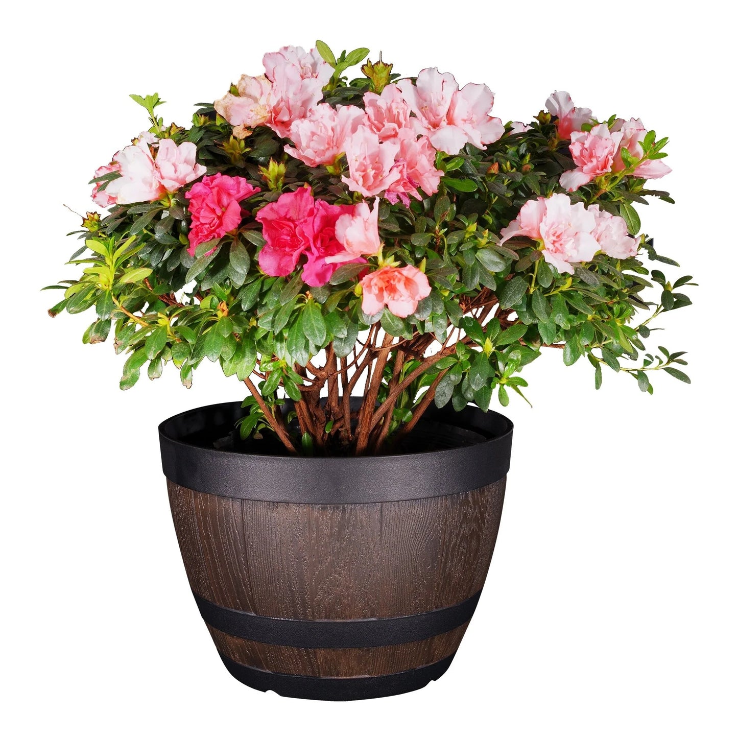 Planter (Set of 4)