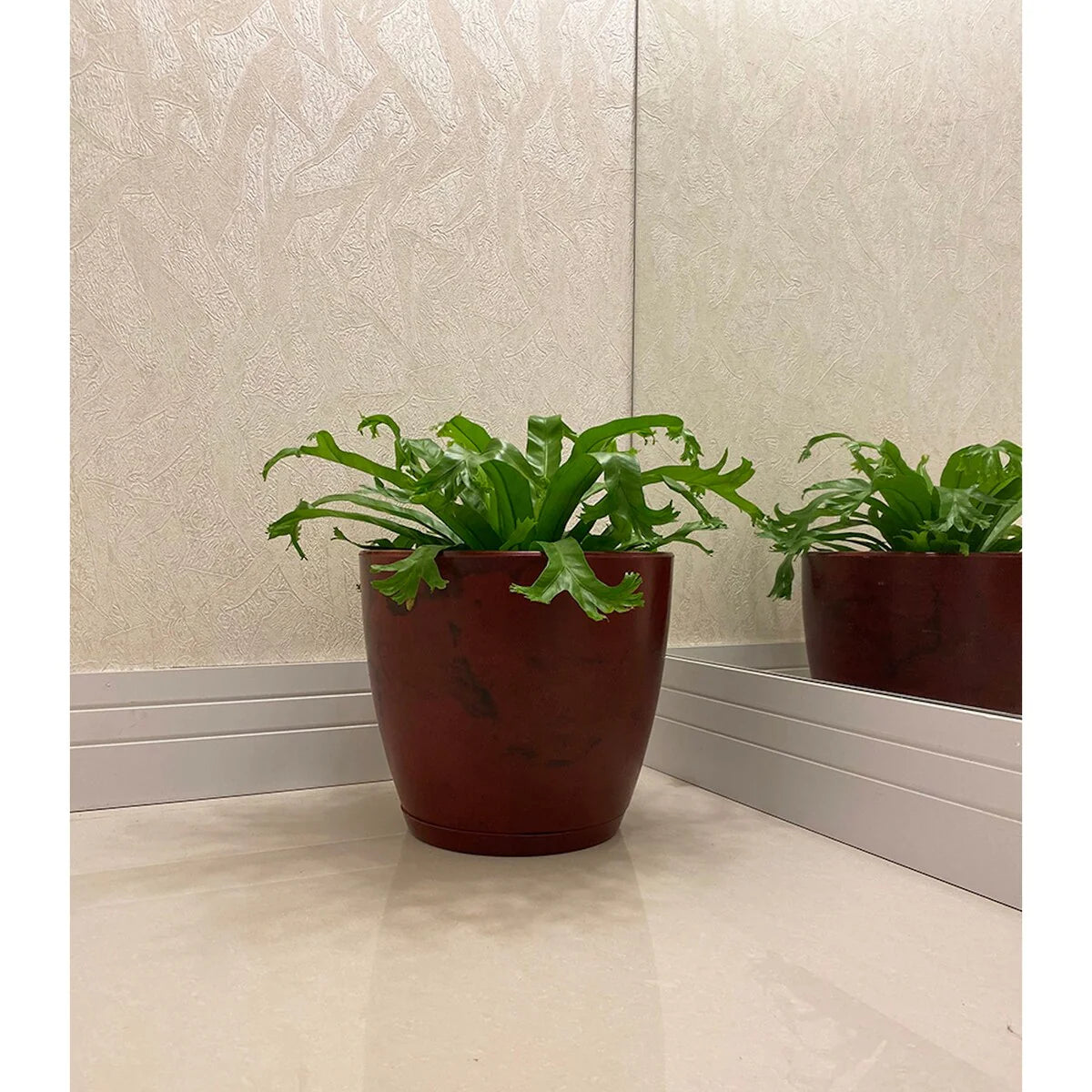 Floridis Amsterdan Extra Small Planter Bowl - 11.02 inches high x 12.6 inch diameter