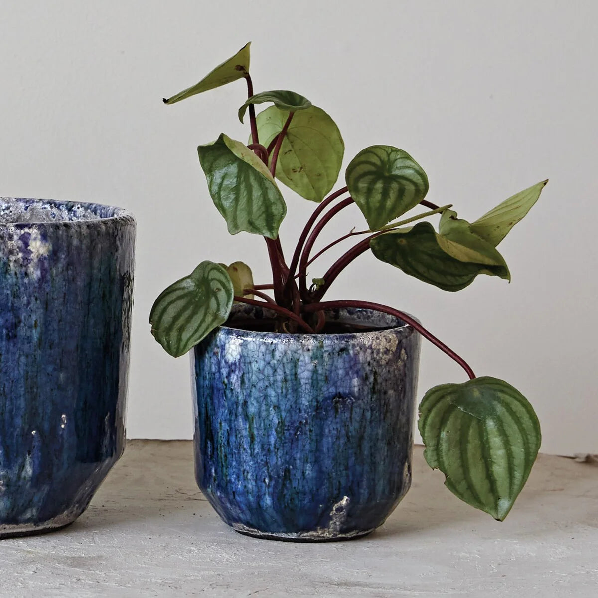 Decorative Terra-cotta Planter with Crackle Glaze