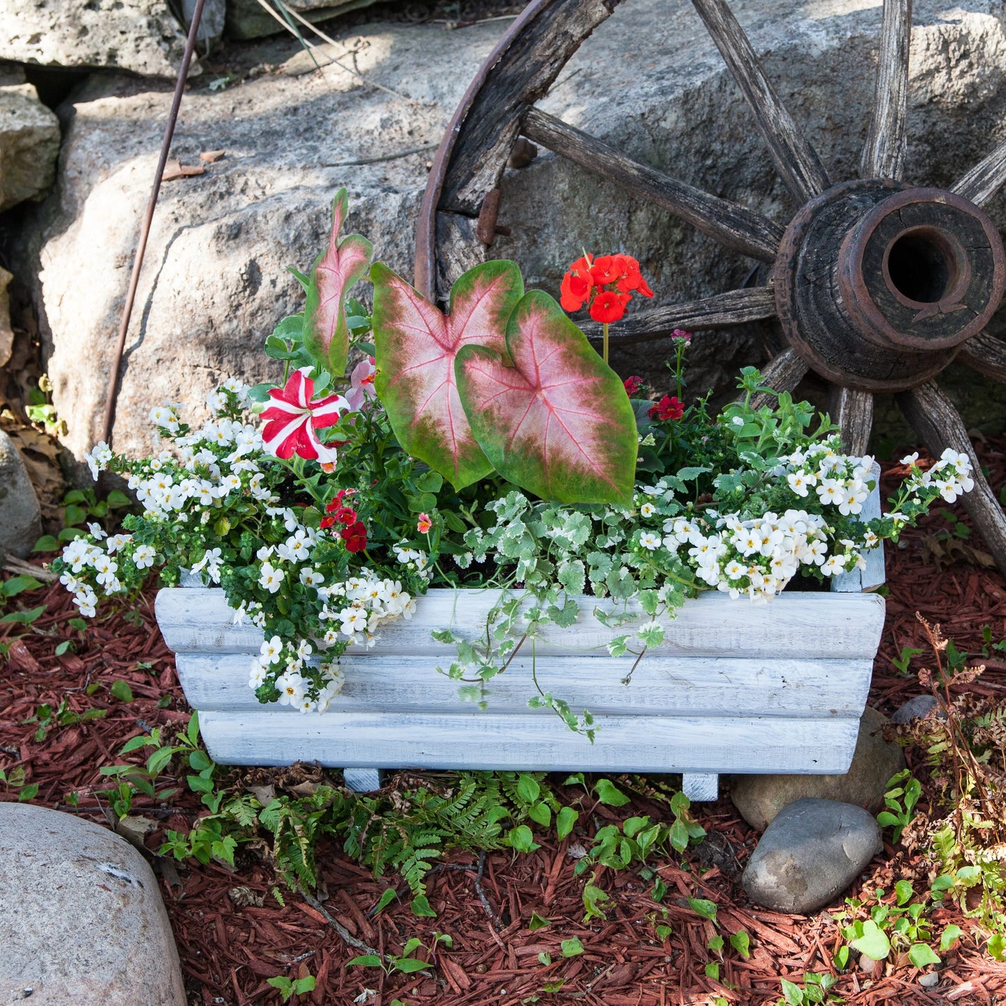 Whitewash Wood Planter