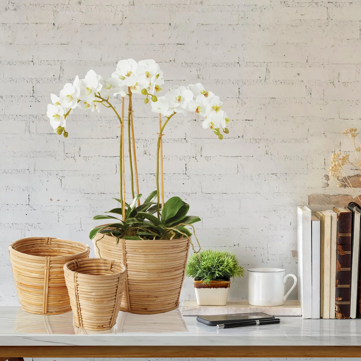 Phalaenopsis Orchid Mini Garden Drop-In 16" - White