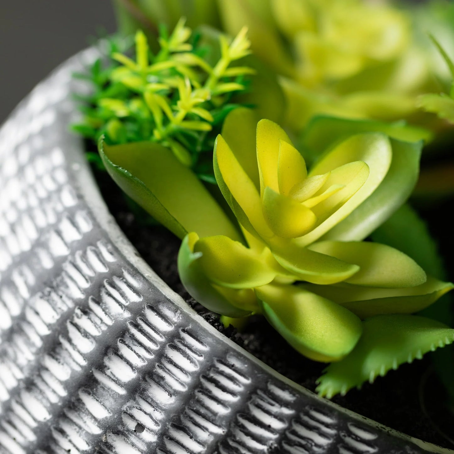 Sullivans Artificial Succulent In Cement Planter 6"H Green - 6"H x 6"L x 6"W