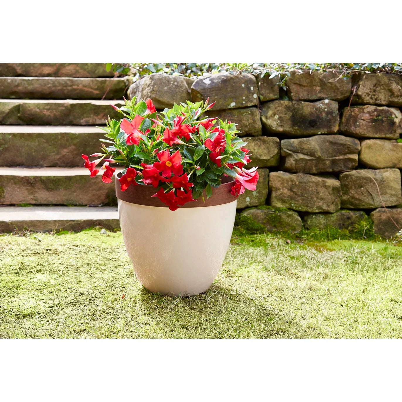 Southern Patio Hornsby Resin Planter