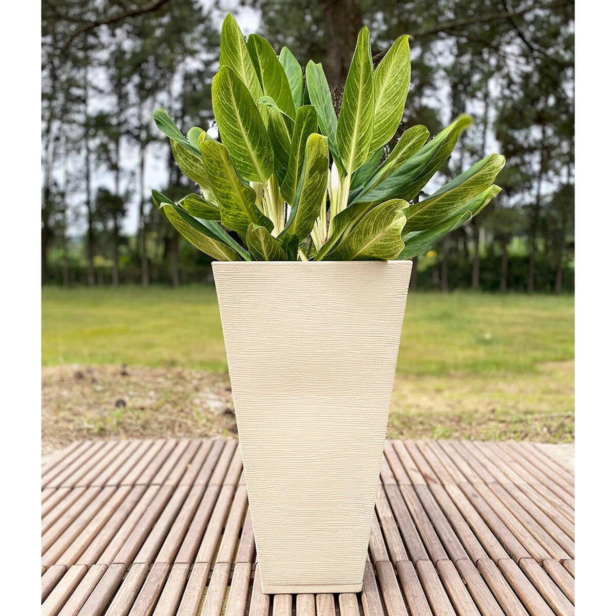 Floridis Zurique Planter