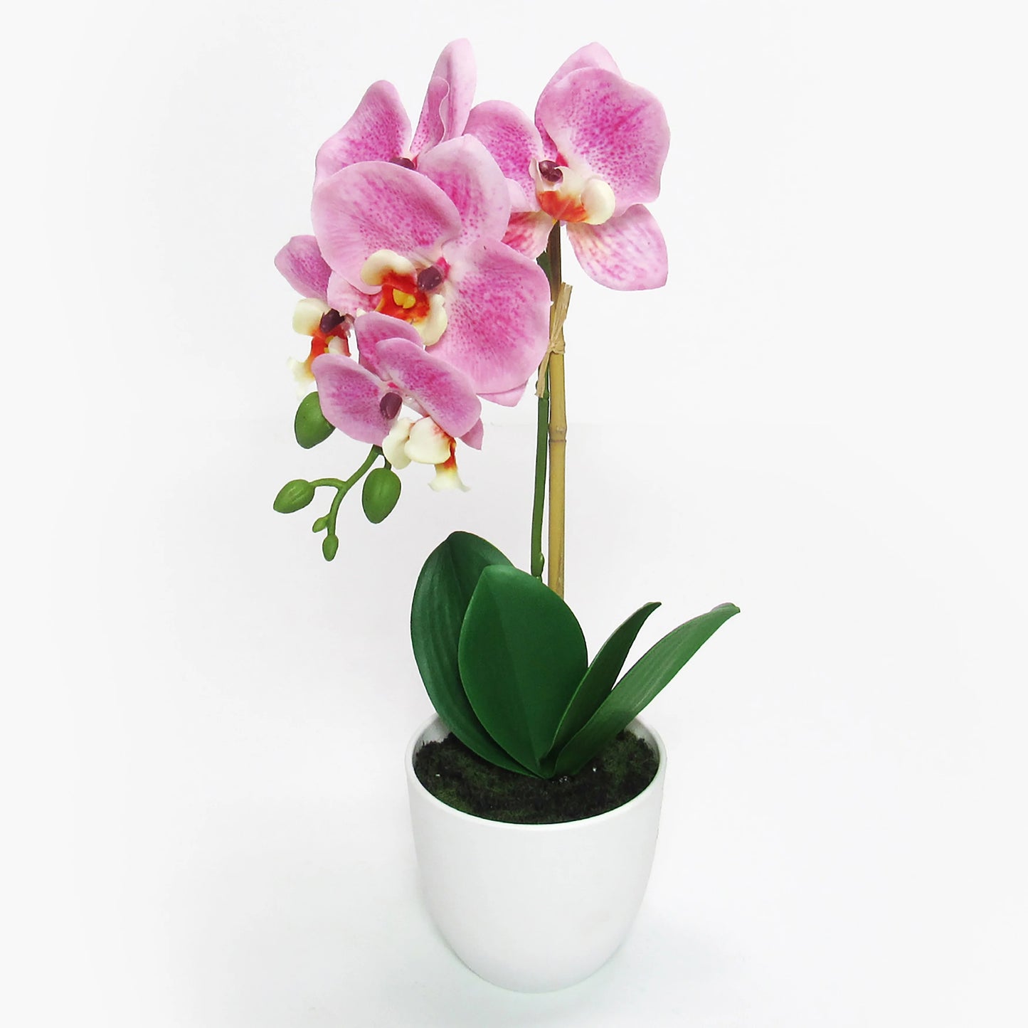 Artificial Phalaenopsis Orchid Flower Arrangement in White Pot 17in
