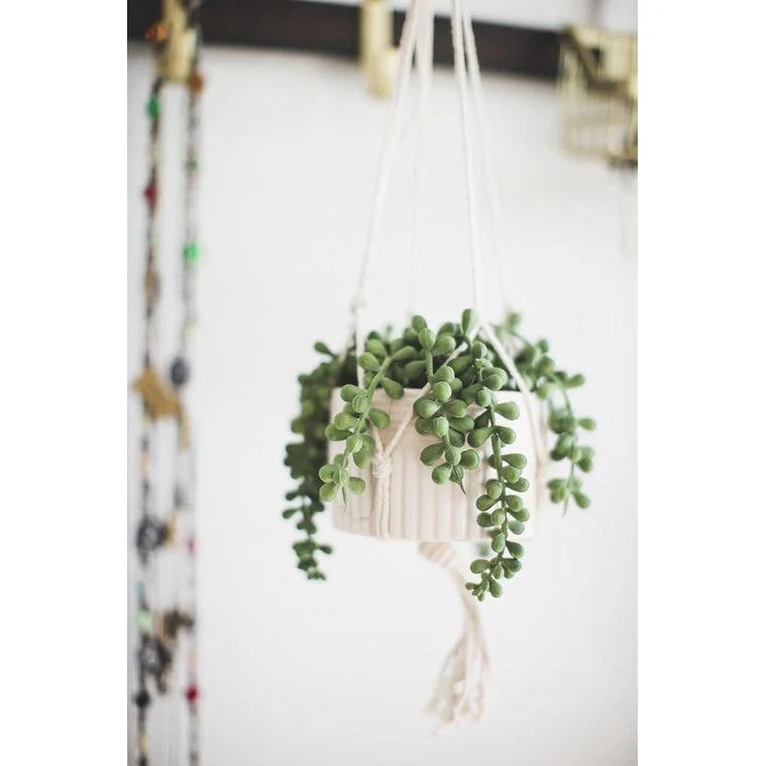Artificial Plant STRING OF PEARLS MACRAME HANGING CERAMIC DONKEY TAILS - ONE-SIZE